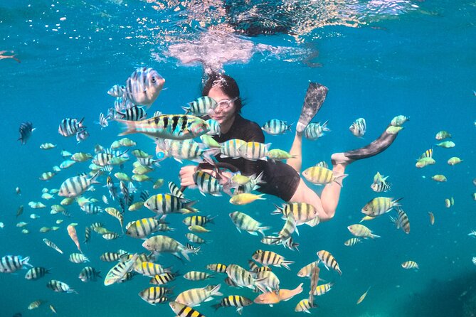 Island Hoping 5 Gili : Gili Gede, Asahan, Rengit, Layar & Goleng - Gili Rengit and the Smaller-Island Feel