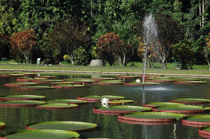 Jakarta Bogor Botanical Garden, Waterfall and Rice terrace, Lunch - Key points at a glance