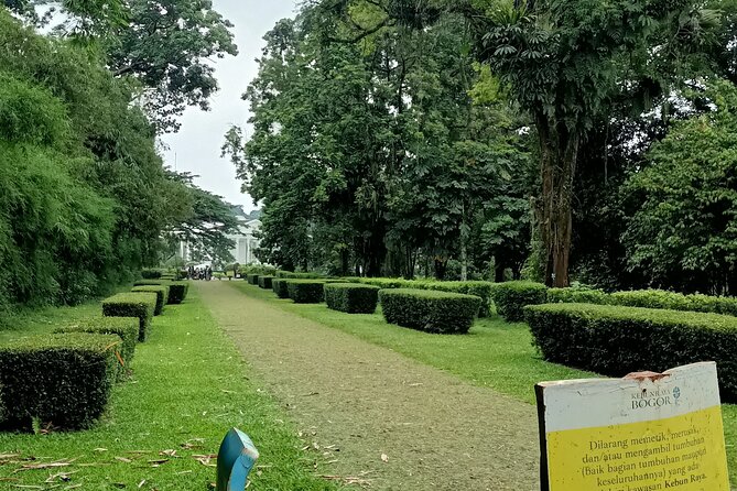 Jakarta Bogor Botanical Garden, Waterfall and Rice terrace, Lunch - Why this Bogor day trip is worth considering