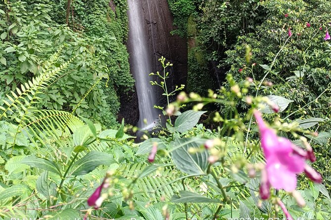 Jakarta Bogor Botanical Garden, Waterfall and Rice terrace, Lunch - Eating Sundanese food with a view of Mount Salak