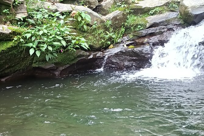 Jakarta Bogor Botanical Garden, Waterfall and Rice terrace, Lunch - Hiking to Nangka Waterfall through pine trees and streams