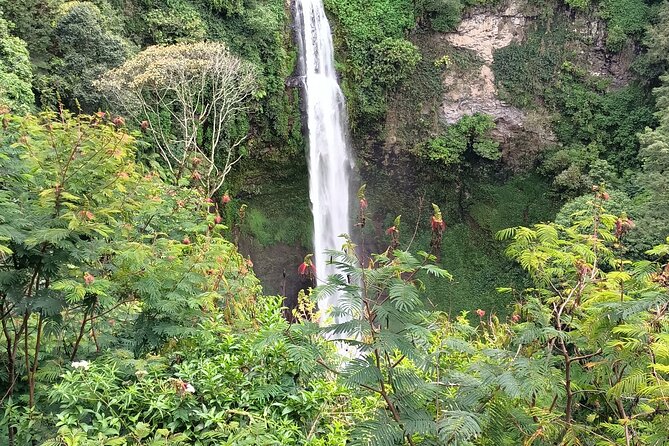 Jakarta Bogor Botanical Garden, Waterfall and Rice terrace, Lunch - Walking through the 84-hectare Bogor Botanical Garden