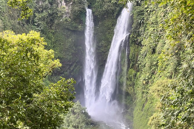 Jakarta Rainforest Hiking to Hidden Waterfall & Suspension Bridge - Key things to know before you go