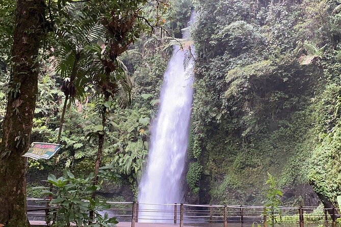 Jakarta Rainforest Hiking to Hidden Waterfall & Suspension Bridge - Why this rainforest day works from Jakarta