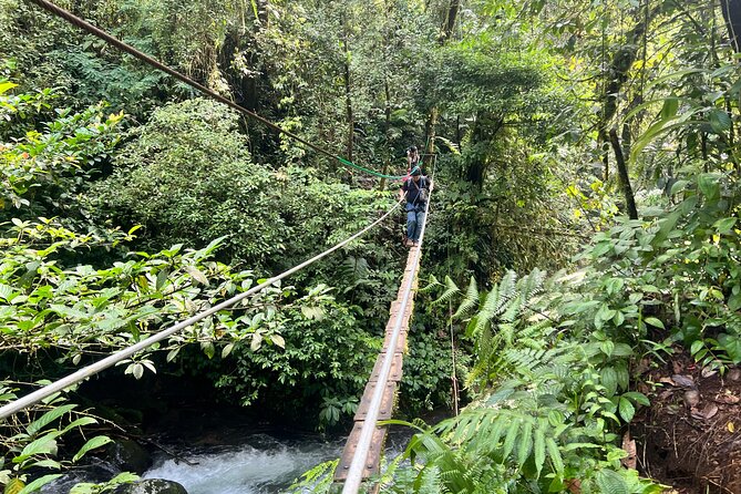 Jakarta Rainforest Hiking to Hidden Waterfall & Suspension Bridge - The five-kilometer route through Gede Pangrango National Park