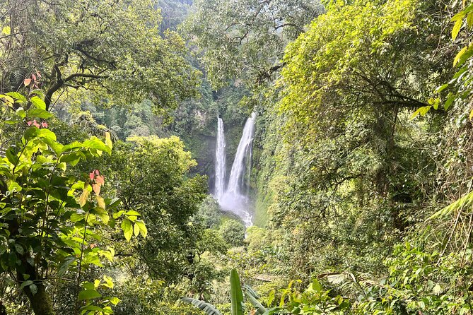 Jakarta Rainforest Hiking to Hidden Waterfall & Suspension Bridge - What is included, and why it matters