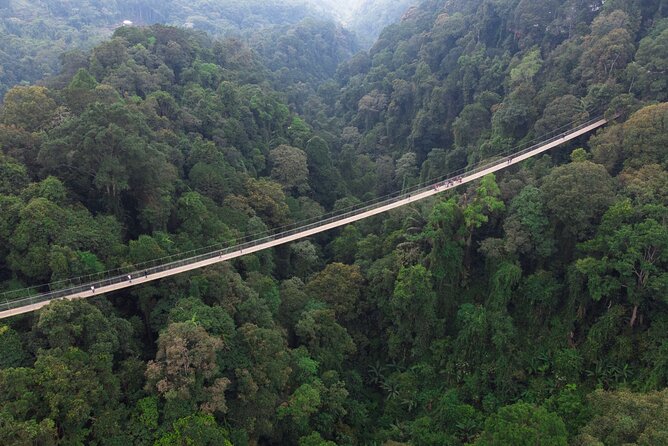 Jakarta Rainforest Hiking to Hidden Waterfall & Suspension Bridge - Group size, pickup zones, and practical planning