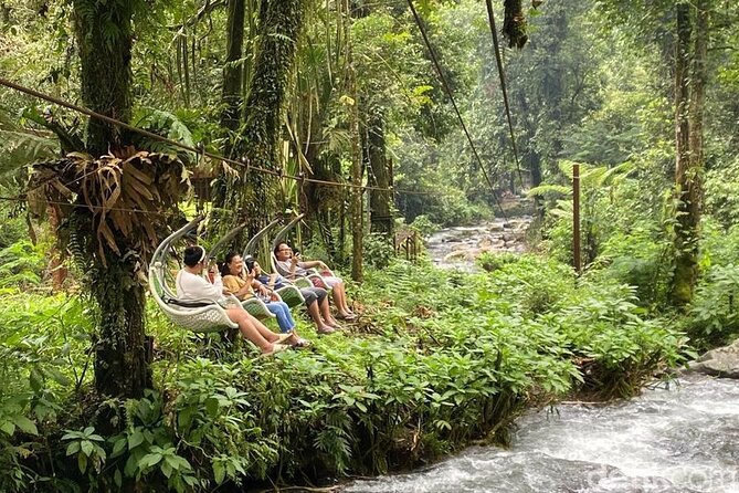 Jakarta Rainforest Hiking to Hidden Waterfall & Suspension Bridge - Who should book this day in the forest?