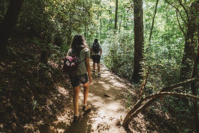 Jakarta Rainforest Hiking to Hidden Waterfall & Suspension Bridge - Is the Jakarta rainforest tour worth booking?