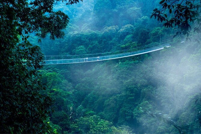 Jakarta Rainforest Hiking to Hidden Waterfall & Suspension Bridge - Crossing the 535-meter Situ Gunung Suspension Bridge