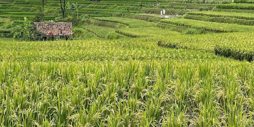 Jakarta: Volcano, Tea/Rice Fields, Hot Spring, Local Food - Ciater hot springs at the end of the day