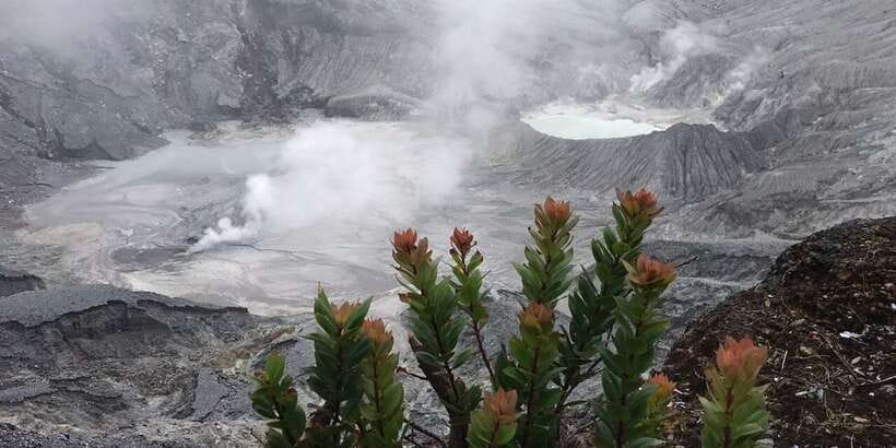 Jakarta: Volcano, Tea/Rice Fields, Hot Spring, Local Food - Why this Jakarta day trip works