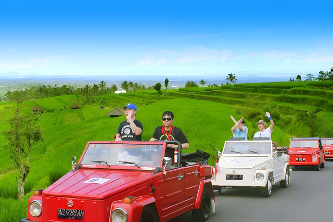 Jatiluwih VW Safari Bali Tour - Volkswagen Classic Car Trip - Ulun Danu Beratan and lunch beside the water