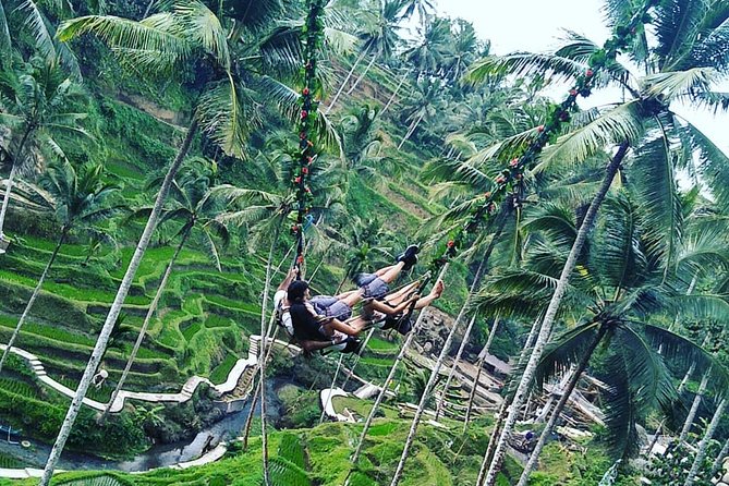 Jungle Swing & White Water Rafting Experience - What the Ayung River rafting section offers