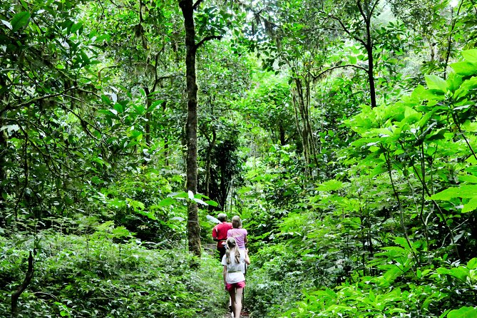 Jungle Trekking and Tamblingan Lake Canoeing in Bali Rainforest - Who will enjoy this private Bali nature tour?