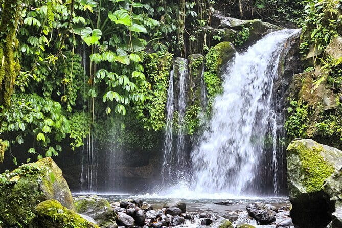 Jungle Trekking at Mt. Batukaru, scenic Waterfall & village life - Key details at a glance