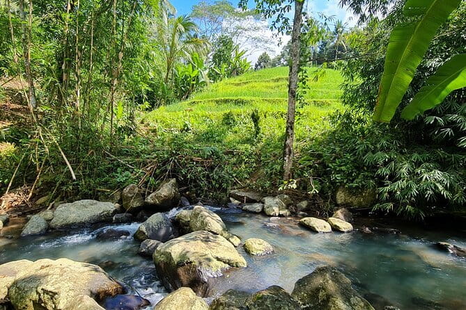 Jungle Trekking at Mt. Batukaru, scenic Waterfall & village life - Why Mount Batukaru feels different from coastal Bali