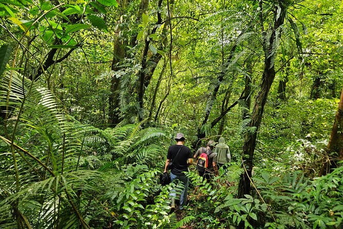 Jungle Trekking at Mt. Batukaru, scenic Waterfall & village life - Pura Luhur Batukaru and the mountain’s sacred side