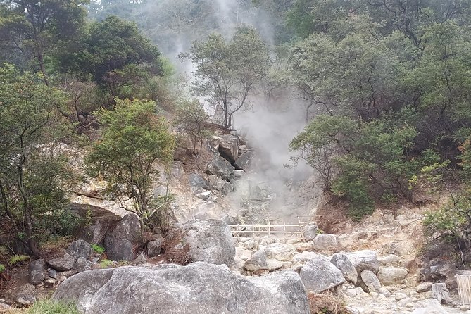 Kawah Putih tour - Day trip Ticket etc all including - Starting with Ciwidey’s village roads
