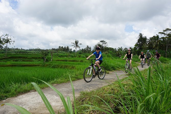 Kintamani Cultural and Nature Cycling Tour ( Manual Bike ) - Key points to know before booking