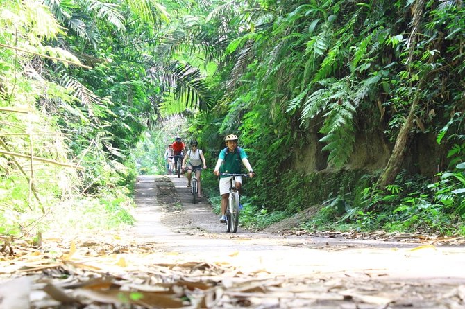 Kintamani Cultural and Nature Cycling Tour ( Manual Bike ) - Bresela rice fields and Bali’s irrigation system