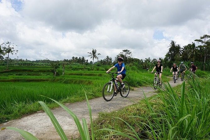 Kintamani Cultural and Nature Cycling Tour ( Manual Bike ) - Finishing at Hyang Api Temple in Payangan