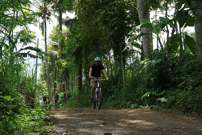 Kintamani Cultural and Nature Cycling Tour ( Manual Bike ) - Starting in Abuan, where the ride really begins