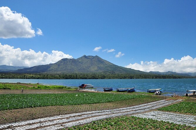 Kintamani Lake & Volcano Tour - Lunch has a view, but not a free meal