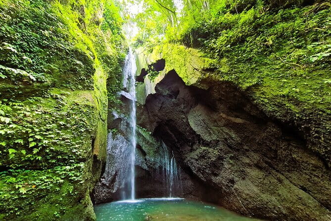 Kintamani Volcano View Tour - Susut offers a small taste of farm life