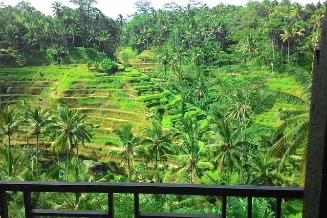 Kintamani Volcano View Tour - Tegalalang closes the sightseeing circuit