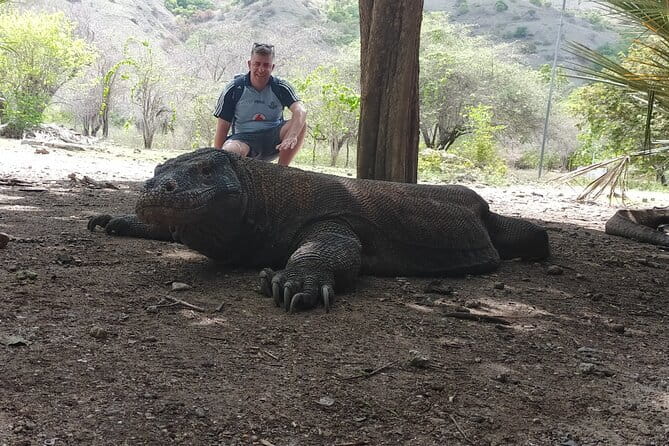Komodo Island Adventure from Bali (Day Trip) - Manta Point and the chance to see rays