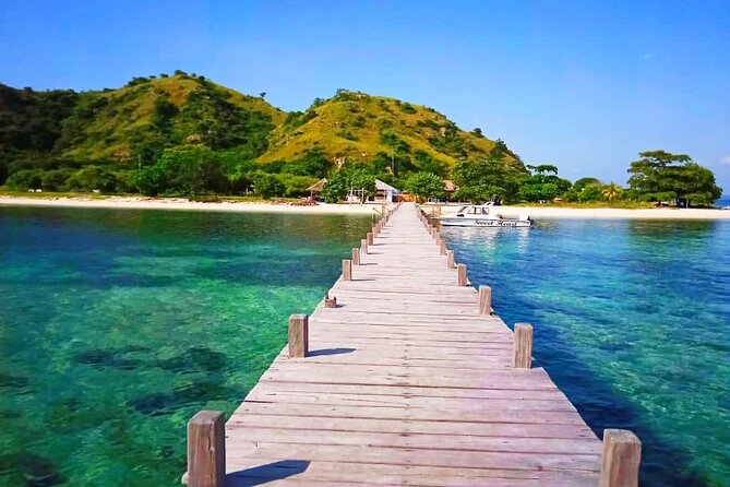 Komodo Tour 3D/2N Live on Board -Join Group Category-Share Cabin - Is $350 Fair Value?