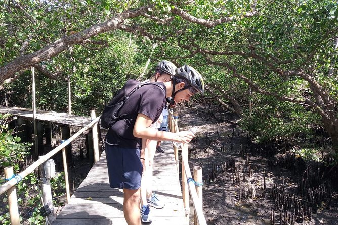 Kuta Beach eBike Private Tour - Pickup, Timing, and What to Bring
