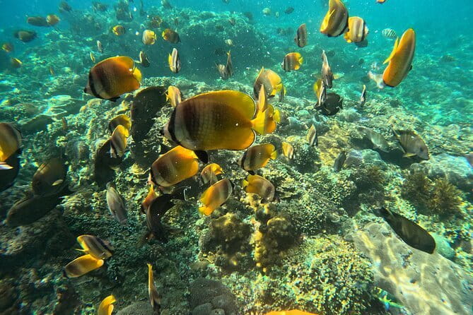 Lembongan Snorkeling at Manta Bay, Crystal Bay and Mangrove - Mangrove Point and the quieter final stop