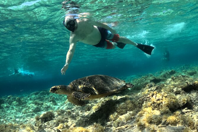 Lombok Driver Customizable Tour Private - Vehicles, comfort, and practical costs