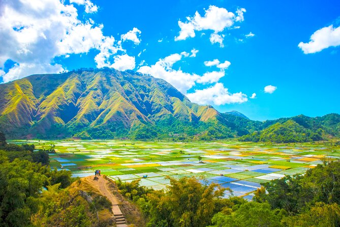 Lombok: Exclusive Sendang Gile, Tiu Kelep & Selong Hill Tour - Why this Lombok day trip works