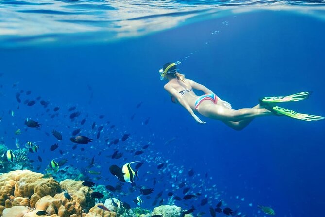 Lombok Pink Beach Boat Trip (Full Day + Snorkeling) - Pink Beach and the reality of pink sand