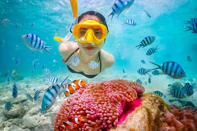 Lombok Pink Beach Boat Trip (Full Day + Snorkeling) - Segui Beach, a calm final stop