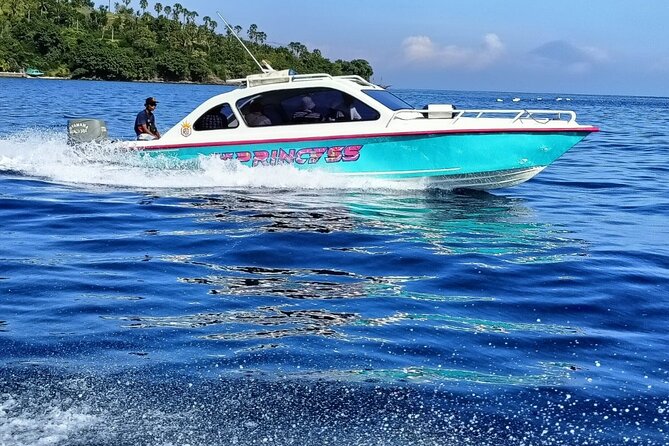 Lombok: Private Airport Lombok Transfers to or from Gili Islands - Key points at a glance