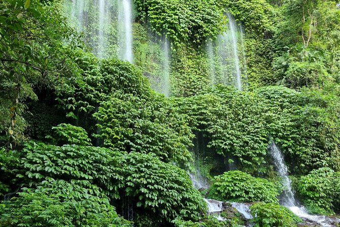 Lombok Private Customize Tour - Transport, comfort, and group size