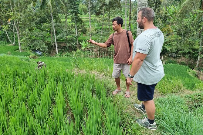 Lombok Private Customize Tour - What the $45 price really buys
