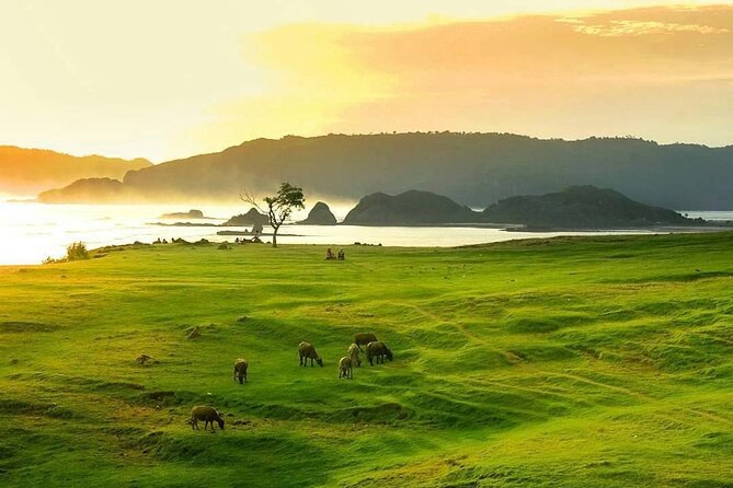 Lombok Tour For Cruise Passangers - What the guides add to the day