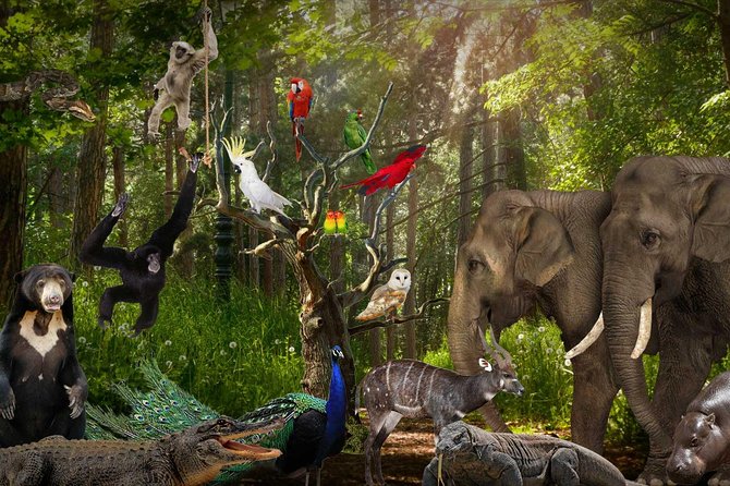 Lombok Wildlife Park Ticket - Lunch and the practical value of a four-hour visit