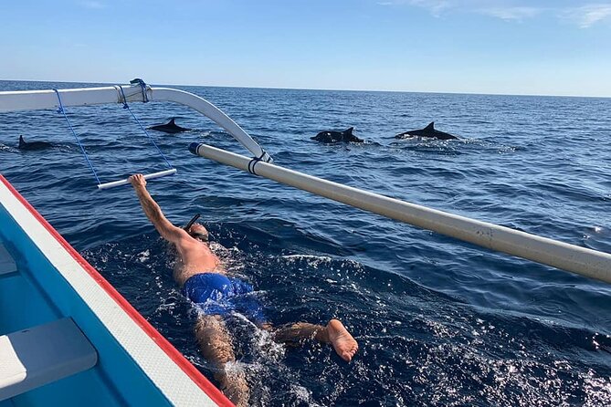 Lovina Dolphin Watching, Swimming, and Snorkeling Experience - Key points at a glance
