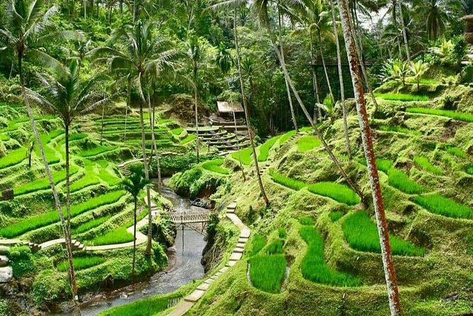 Magic Of Ubud Temple Swing And Waterfall Private Guided Tour - Six stops, one very full Ubud day