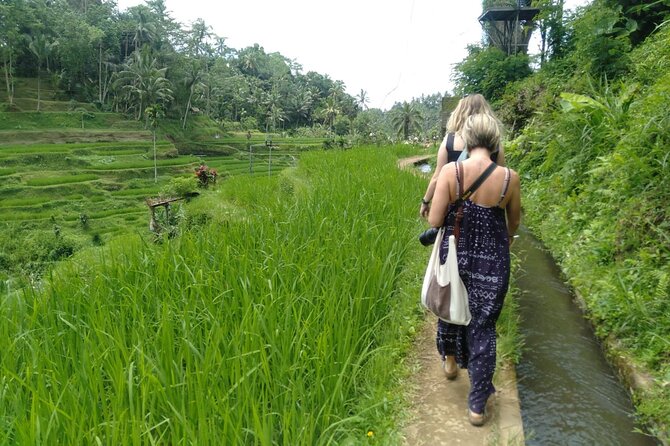 Magic Of Ubud Temple Swing And Waterfall Private Guided Tour - Tegalalang Rice Terrace and an extra lunch cost