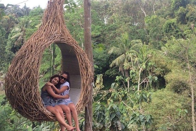 Magic Of Ubud Temple Swing And Waterfall Private Guided Tour - Tirta Empul, Bali’s sacred spring temple
