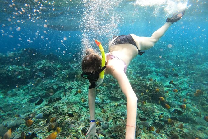 Manta Bay Snorkeling Adventure with Kelingking Beach Nusa Penida All Inclusive - From Jimbaran to Sanur before sunrise