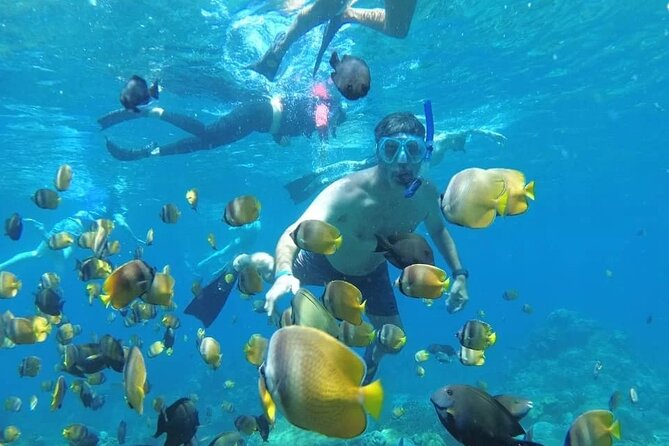 Manta Bay Snorkeling Adventure with Kelingking Beach Nusa Penida All Inclusive - Kelingking Beach and the famous cliff view
