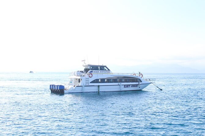 Manta Bay Snorkeling Adventure with Kelingking Beach Nusa Penida All Inclusive - Guides, photos, and personal service